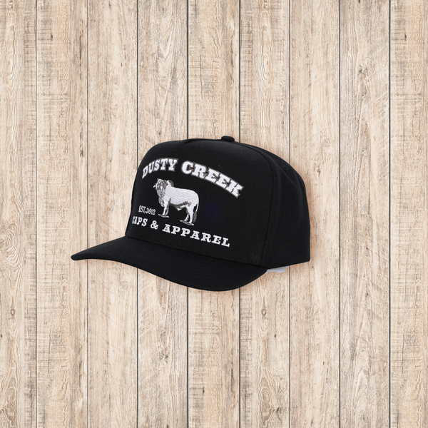 Cattle Camp Cap - Black