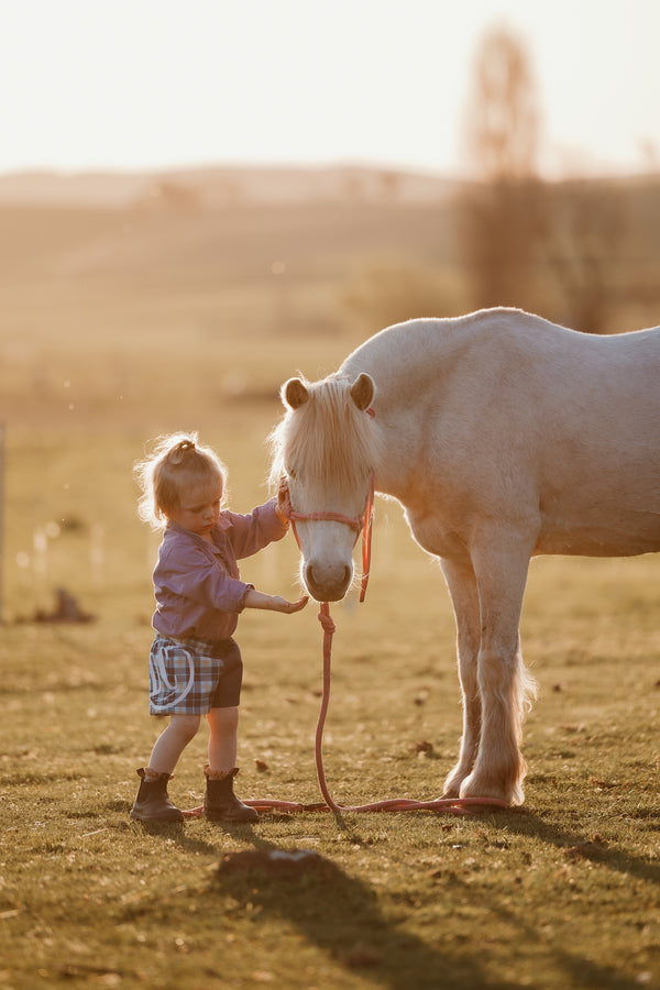 Boys/Girls Footy Shorts - Navy